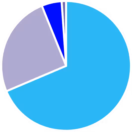 A pie garph with 68% shaded light blue, 25% shaded lavender, 5% shaded dark blue,, and 1% shaded purple.